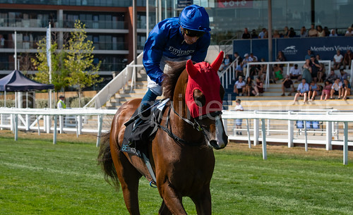 Race 4 Extra - Silent Film