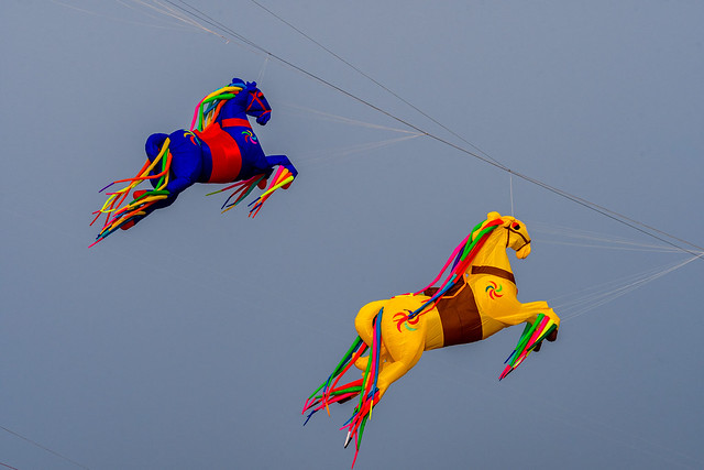 Flying Horses