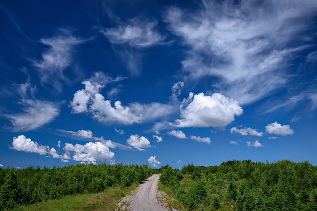 View of sky and clouds over a dirt road off the Fundy Trail Parkway, New Brunswick, Canada