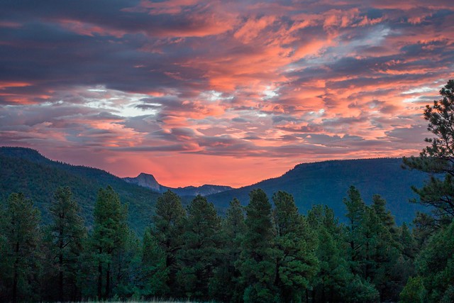 Summer Sunrise @ Carson Meadows, Cimarron, New Mexico, USA-01921