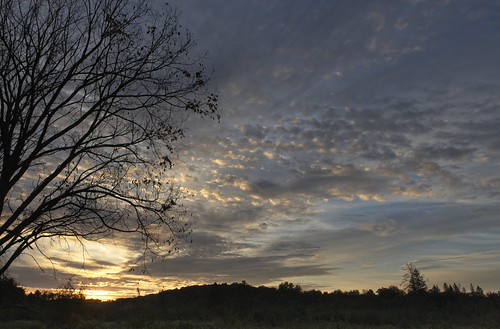 Early morning riser by Gangie (pronounced GangGe), I want to thank each and everyone who took the time to visit my little space here on Flickr.  Have a