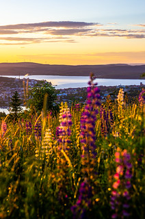 Flickr photo: Härnösand