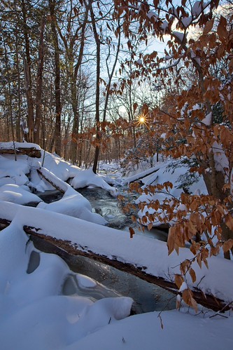 I'd make a wish for sunshine all the while by donmai651, Macedonia brook State Park, Dec 2020 
Deep snow hike originally went to find falls, but unfortunatel