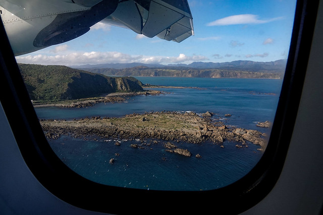 Taken from above - Wellington harbour from the flight path to landing