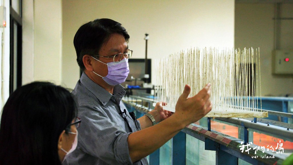 台大水工試驗所特約研究員黃國文透過水工試驗，模擬當洪水侵襲河灘地，可能對稚蟲產生的衝擊。