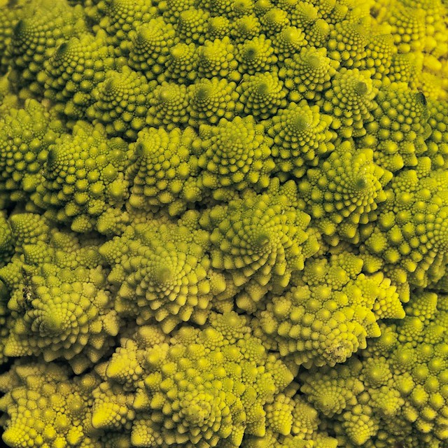 Fractal geometry and Fibonacci sequence in nature
