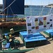 20220724 - Fête des bateaux à Port Navalo, Arzon, Bretagne