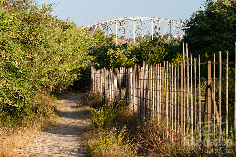 Sendero Tajos de Arcos en Arcos de la Frontera