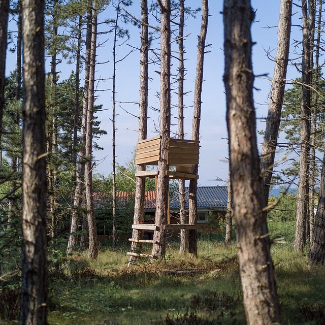 Small tree house in Forrest area of Sjællands Odde, Denmark