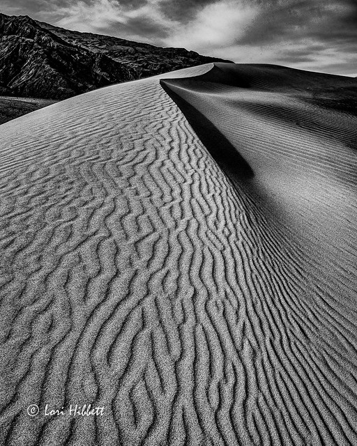 Dune in black and white