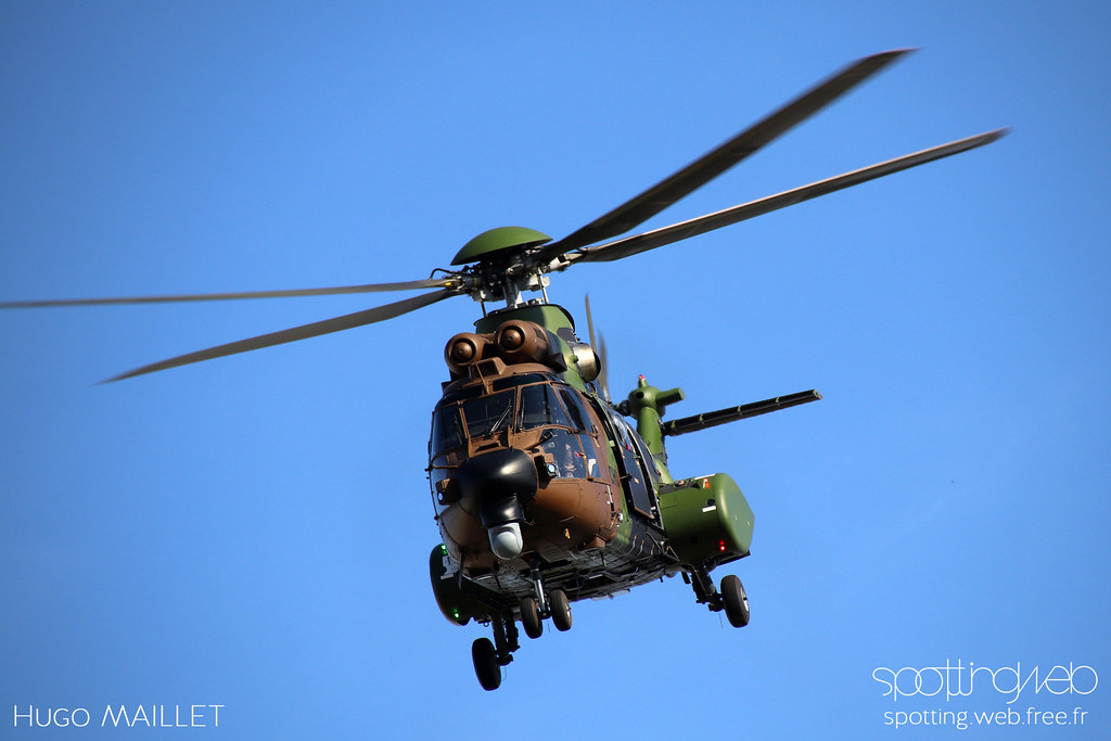 Armée de terre | Eurocopter EC725 cougar