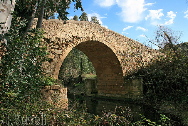 Antico ponte, detto romano - Gonnoscodina