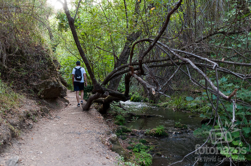 La Ruta del Río Majaceite: descubre la belleza natural de la Sierra de Grazalema