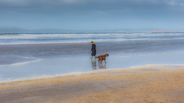 Woman with Dog on Beach