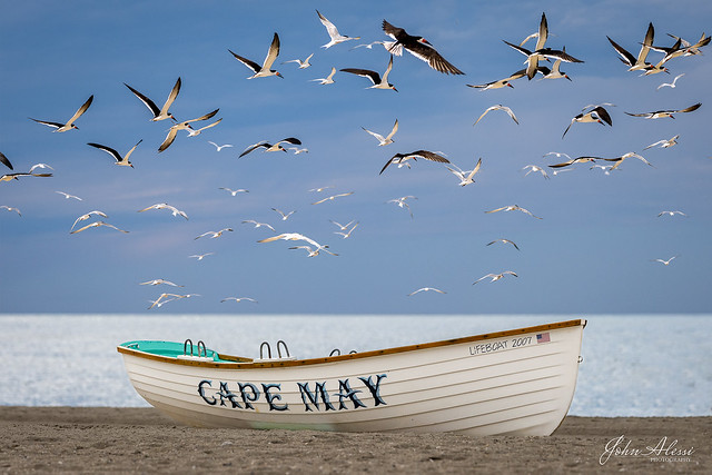 Another Day in Cape May