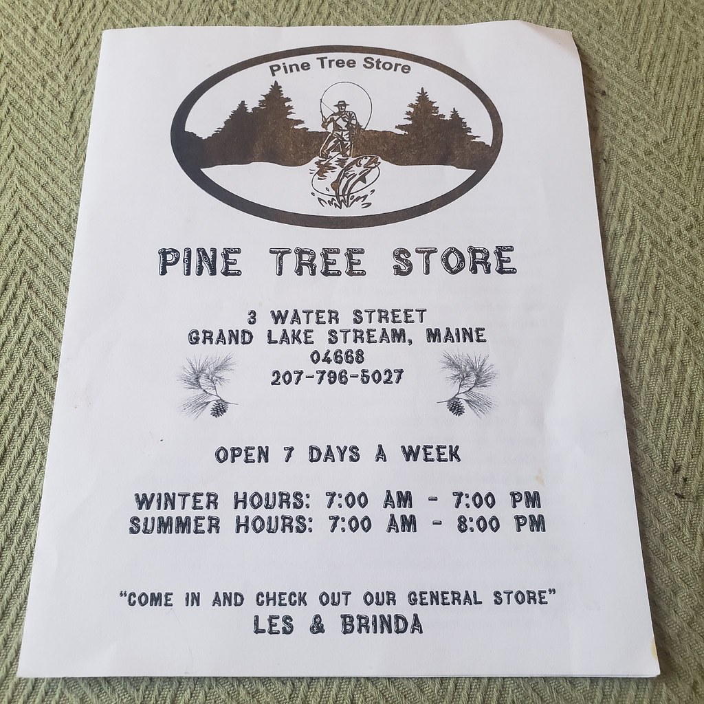 Thu, 08/18/2022 - 16:51 - Pine