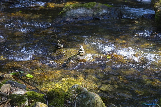 Pebbles in the creek - Pedrinhas no riacho