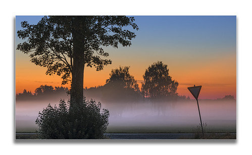 Vorfahrt achten! by Robby Metz, Frühmorgens unterwegs.germany bavaria reischenau landscape trees morning sky colors fog sunrise