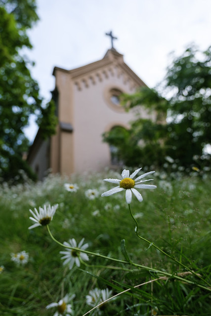 Religious ground after the rain