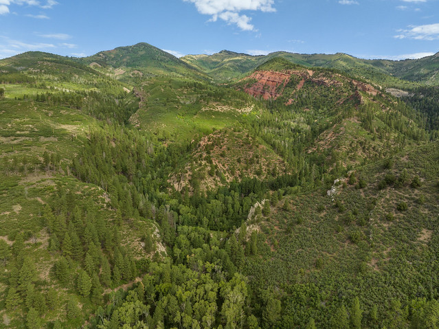 Abajo Mountains, Johnson Creek Drainage, Duckett Ridge, Red Bluffs, Manti-La Sal National Forest, San Juan County, Utah 1