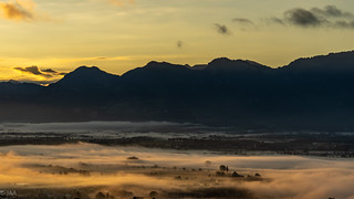 Sonnenaufgang Rheintal mit Nebel