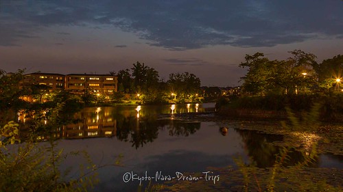 irodorinomoripark japan landscape nara photography shobukamipond sunset いろどりの森公園 菖蒲上池