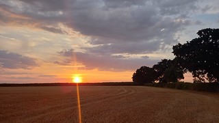 Wicken, Northamptonshire - Summer Sunset