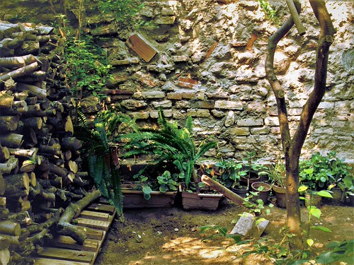 Patio interior | by Enciclopedia Bonàs
