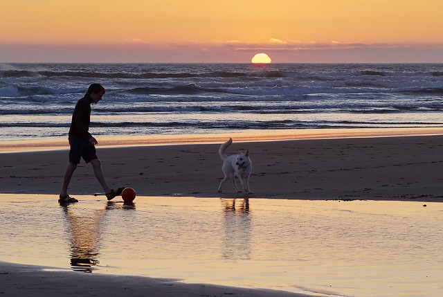 Man, dog, ball, beach, sunset