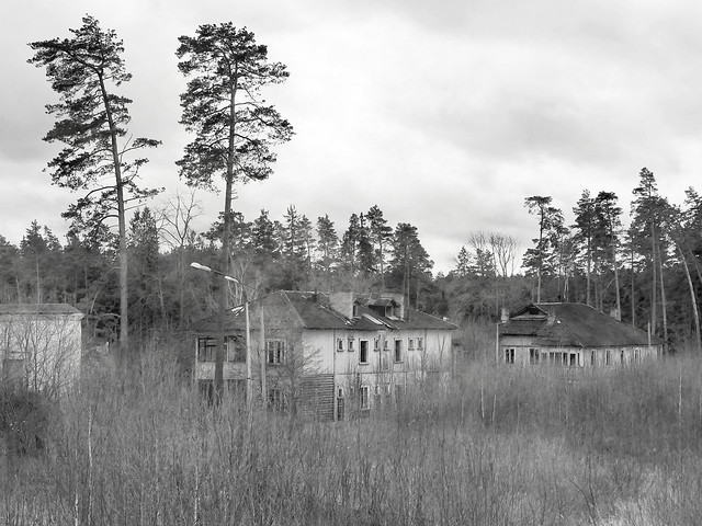Abandoned houses in the forest