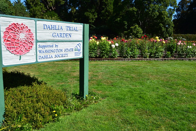 Dahlia Trial Garden