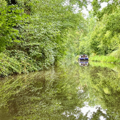 A photo looking along a canal towards a moored narrowboat, which is reflected in the still water, as are the trees and bushes that fill the rest of the image, almost hiding the sky entirely.