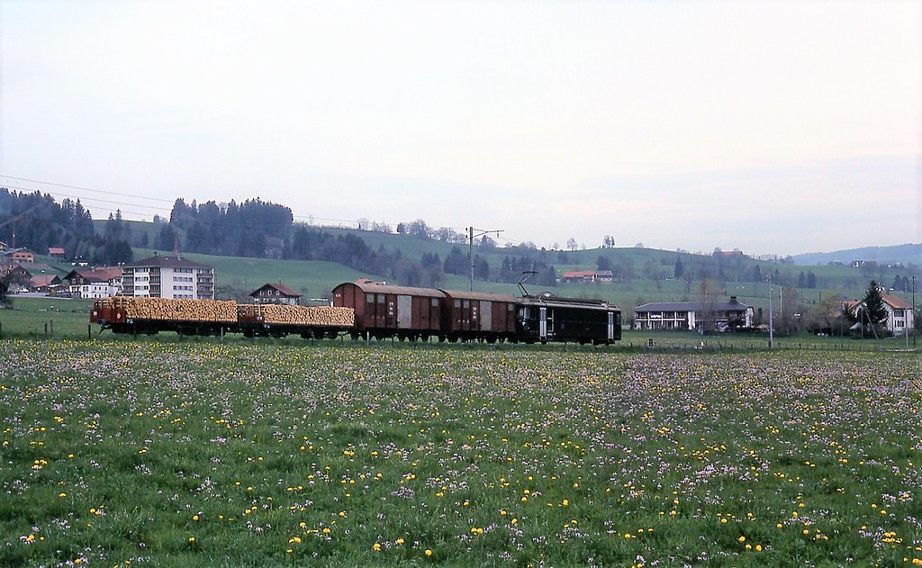 Trains des T.P.F  anciennement G.F.M. voie métrique (Suisse)