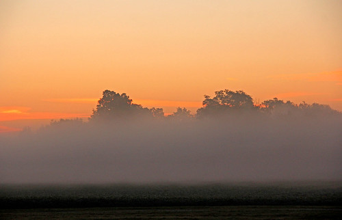 sunrise sunrisephotography trees lindenindiana cloudsandsky fog sunrisecolors indiana