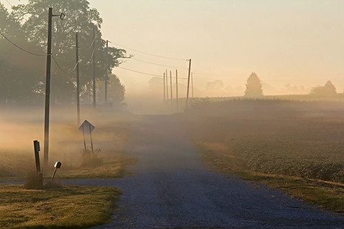 fog road ruralscenes ruralindiana sunrise sunrisephotography groundfog lindenindiana ruralroads