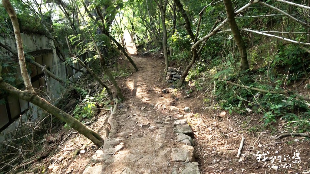 步道以手作方式建立新入口路徑，保持原有林木，相對舊有的石階步道，更接降生態化設計。