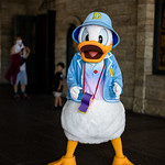 Donald Duck -Tokyo Disney Sea 2022 (Urayasu, Chiba, Japan)