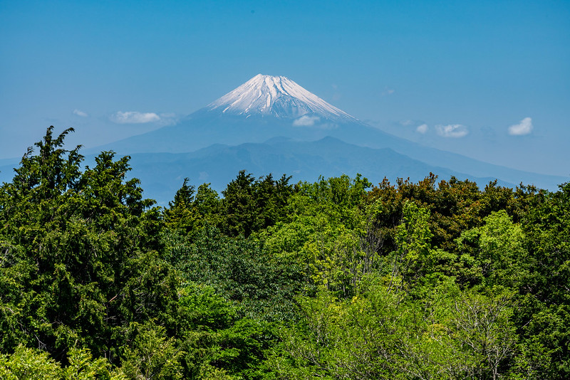 発端丈山頂からの富士山