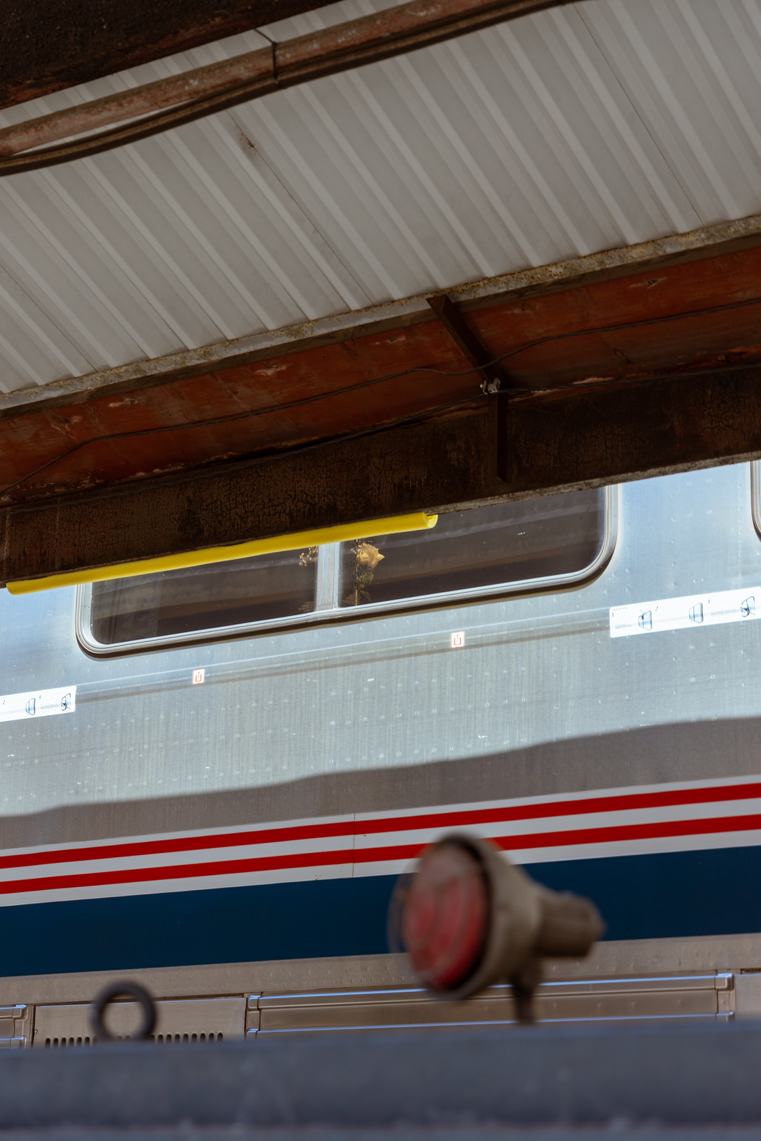 A flower in the window of a Superliner dining car, seen from the station platform below, under a tin roof and with an object bearing a red light at the bottom of the frame.