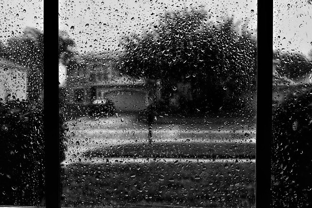 summer rain on the window
