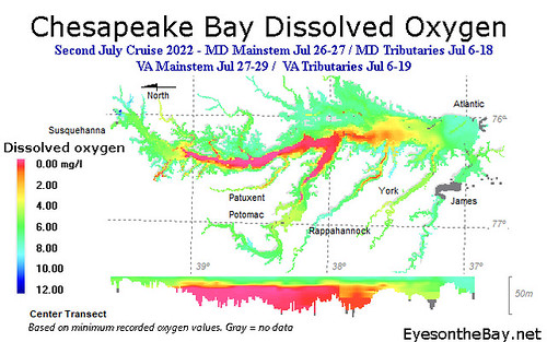 Map of Chesapeake Bay Dissolved Oxygen late July 2022