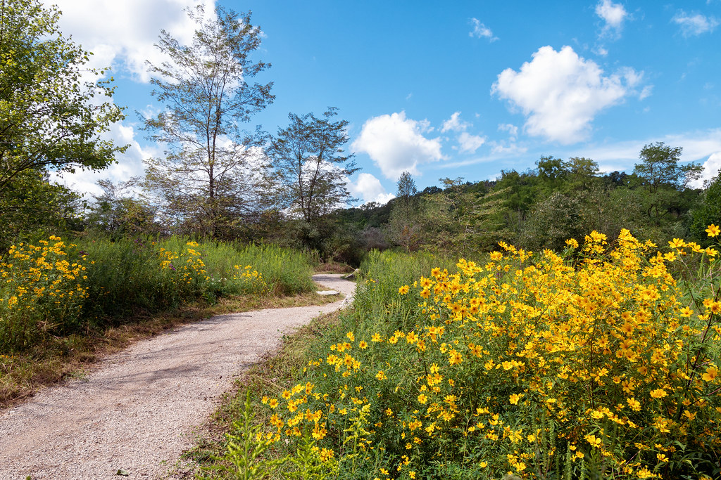 Coal Train Trail