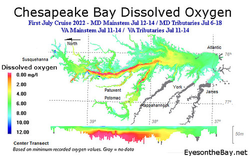 Map of Chesapeake Bay Dissolved oxygen in early July 2022