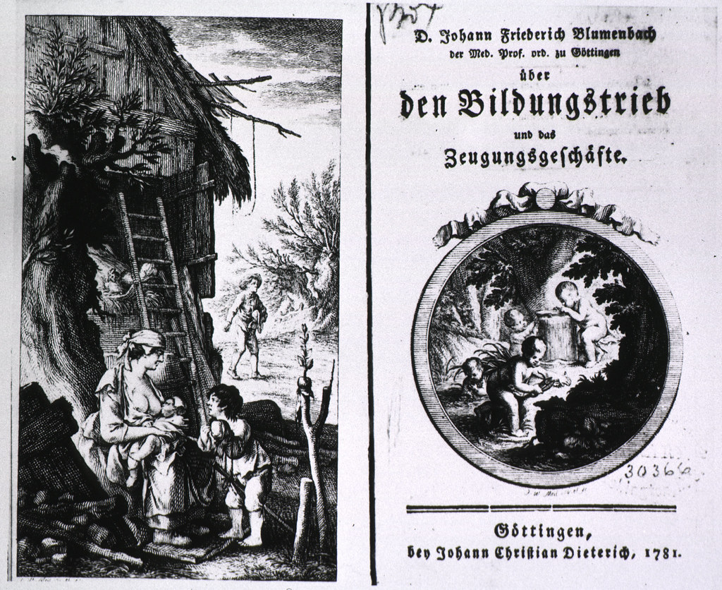 Title Page and Frontispiece to Blumenbach's Uber den Bildungstrieb