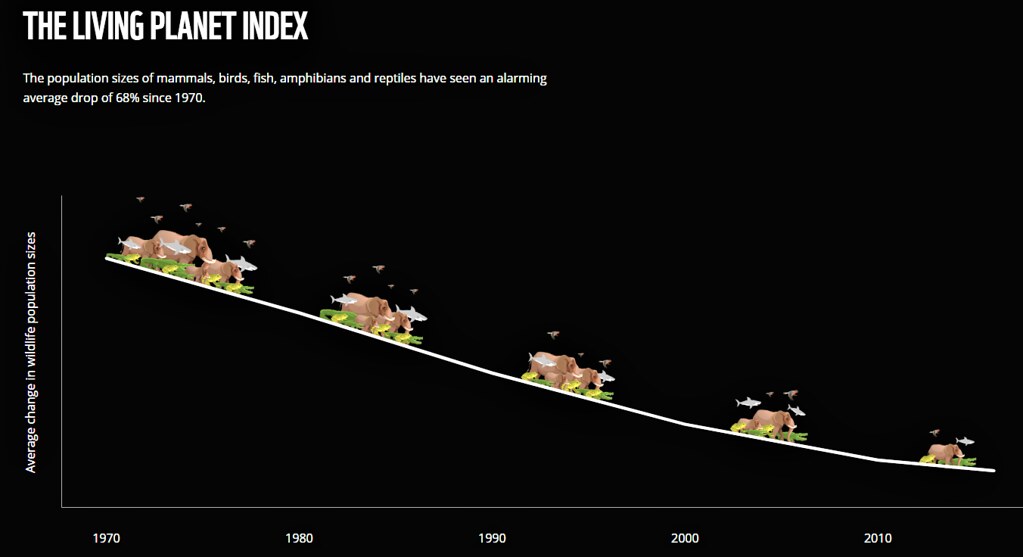 相較於1970年，全球野生物種的數量減少高達68％。 圖片來源: WWF