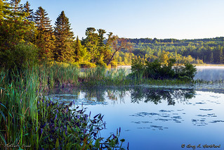 Small Pond in Central Maine M1A1709