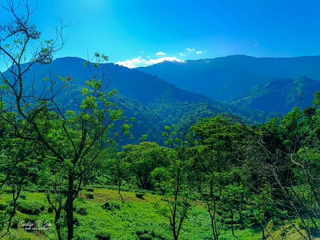 Shivkhola Darjeeling WestBengal | | Dekhbo Ebar Jogot Take | DEJT     @incredibleindia @bengaltouris