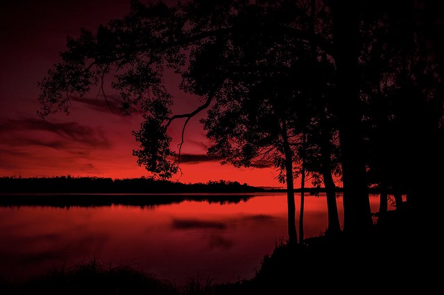 Red evening