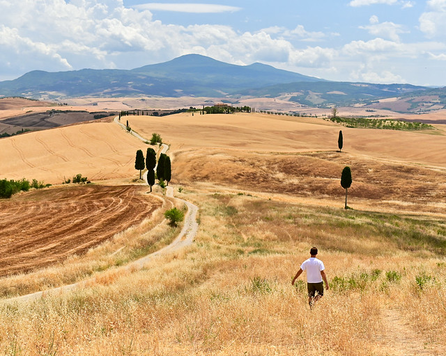 Escenario de Gladiator de la mano sobre el trigo en la Toscana
