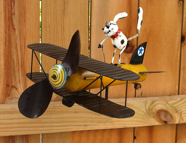 Dog on a Biplane